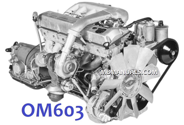 Mercedes-Benz OM603 Motor